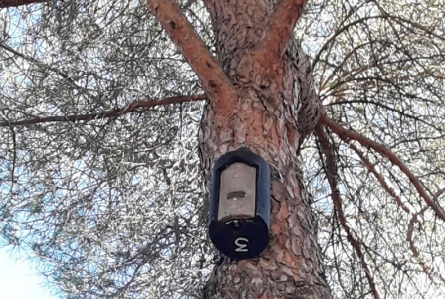 Torrelodones | El Ayuntamiento instala 50 cajas nido para murciélagos