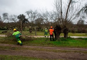 Boadilla del Monte | El Ayuntamiento inicia actuaciones de poda selectiva de mantenimiento en el monte