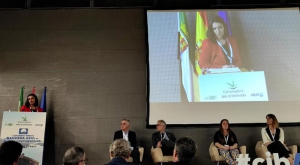 San Martín de Valdeiglesias | El Ayuntamiento participa en el Congreso Ibérico de Playas