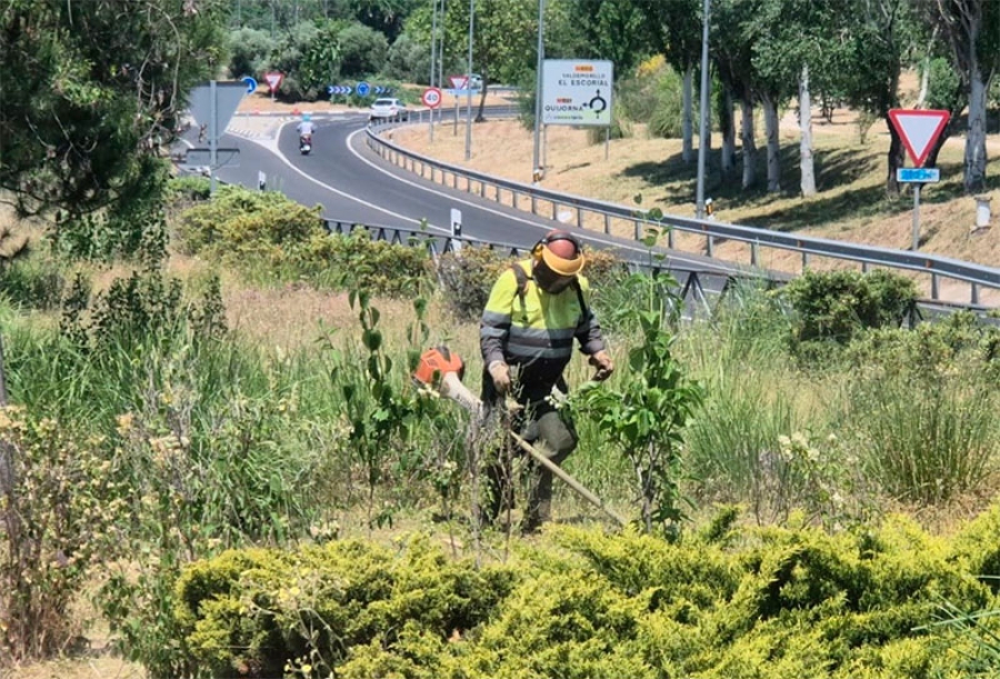 Villanueva de la Cañada | Labores de desbroce y limpieza de vegetación para prevenir incendios