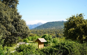 Alpedrete | Comienzan los trabajos de adecuación en Montes de Utilidad Pública de Alpedrete