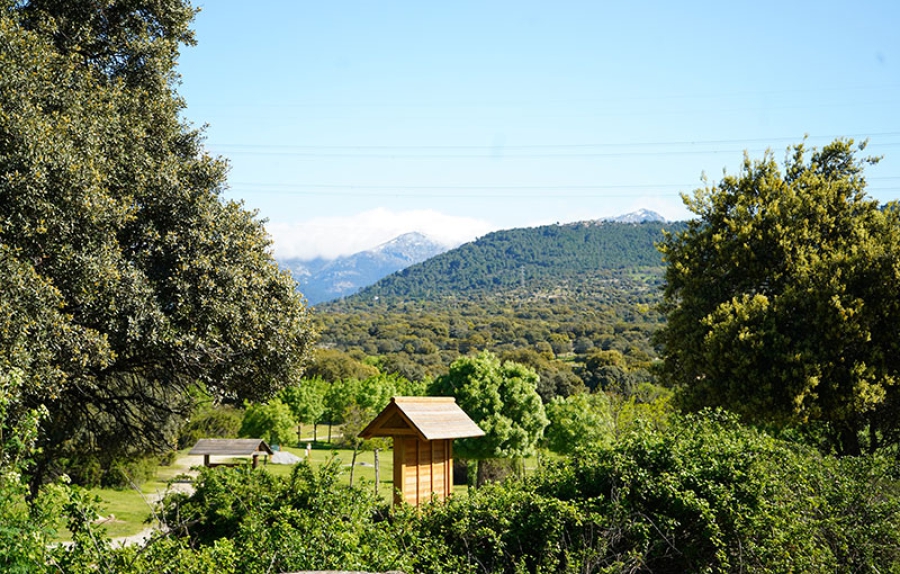 Alpedrete | Comienzan los trabajos de adecuación en Montes de Utilidad Pública de Alpedrete