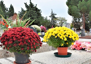 Villaviciosa de Odón | El día de Todos los Santos se celebrará Misa a las 17:00 horas en el cementerio