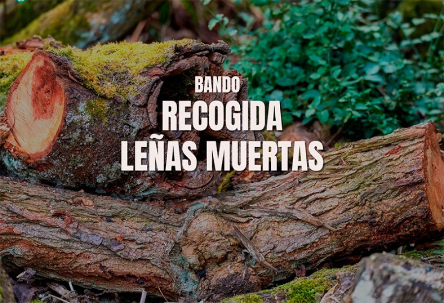 Collado Mediano | Bando Recogida leñas muertas en Montes de Utilidad Pública