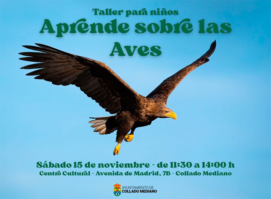 Collado Mediano | Taller para niños: “Aprende sobre las aves”