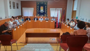 Moralzarzal | El Ayuntamiento de Moralzarzal aprueba tres propuestas clave en acerado, reforestación y ayudas directas a colectivos locales