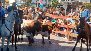 Guadarrama | Guadarrama celebrará sus fiestas en honor a San Miguel y San Francisco con actividades infantiles, conciertos, deporte, encierros y la diversión y el colorido de sus peñas