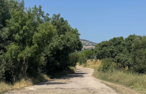 Los Molinos | Comienzan los trabajos de reparación de la carretera de la Virgen del Espino