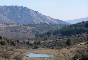 Becerril de la Sierra | El Ayuntamiento publica el procedimiento de adjudicación de aprovechamiento cinético de la «Deesa del Berrocal y Gargantilla»