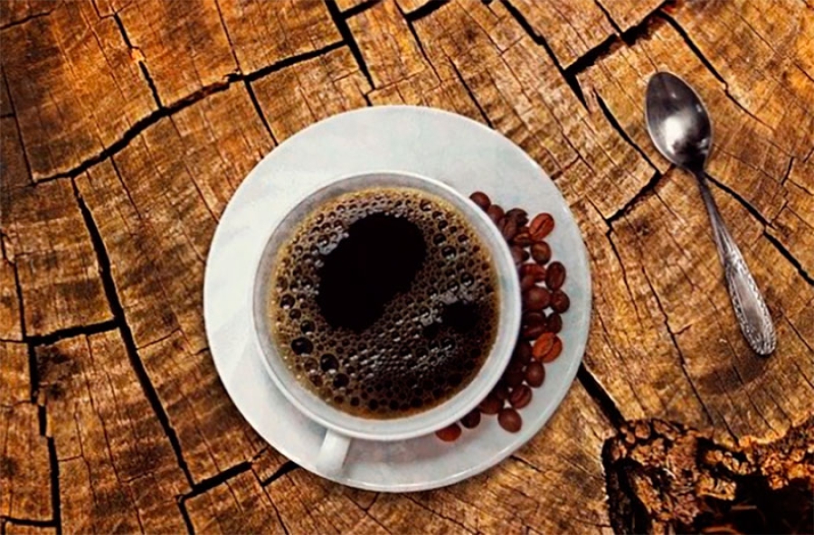 Brunete | Concesión de la cafetería del I.E.S.