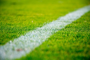 Pozuelo de Alarcón | El campo de fútbol 7 del polideportivo Carlos Ruiz tendrá nuevo césped artificial
